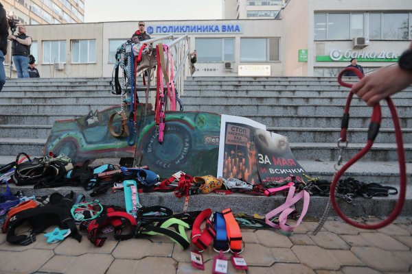 Снимка: Димитър Кьосемарлиев, Dnes.bg